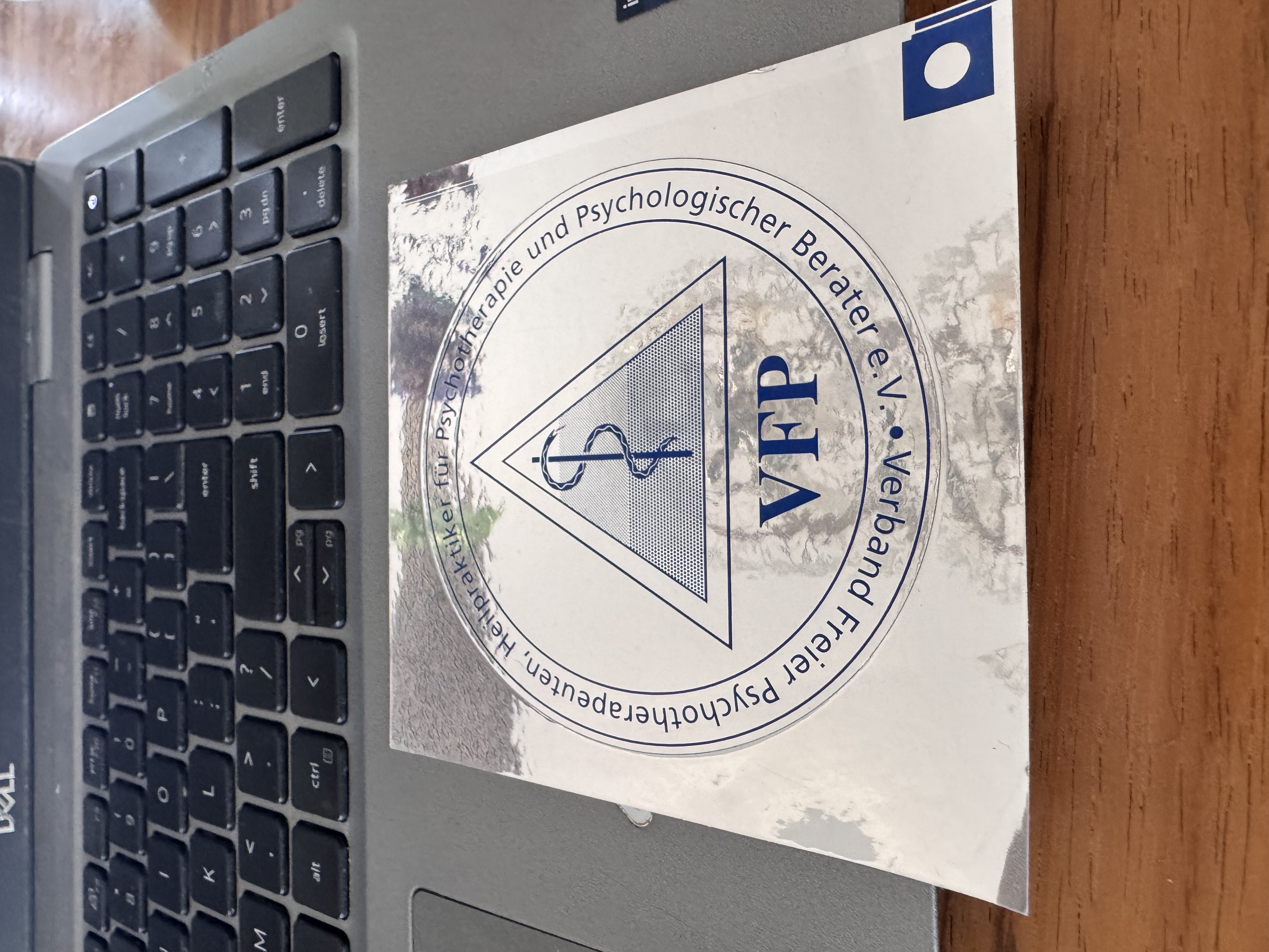 VFP Logo